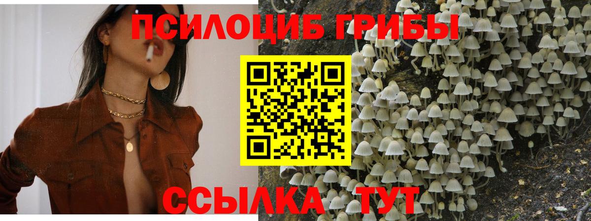 Галлюциногенные грибы Psilocybine cubensis  Вход с VPN  Галлюциногенные грибы MAGIC MUSHROOMS  сколько стоит  Альметьевск 